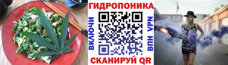 Canna-Cookies марихуана  Купить закладки  Удомля 