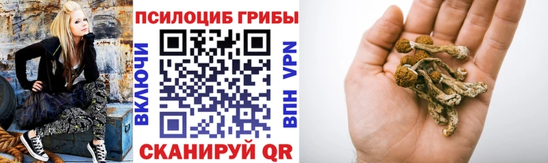 Псилоцибиновые грибы мухоморы  Купить где  Удомля 